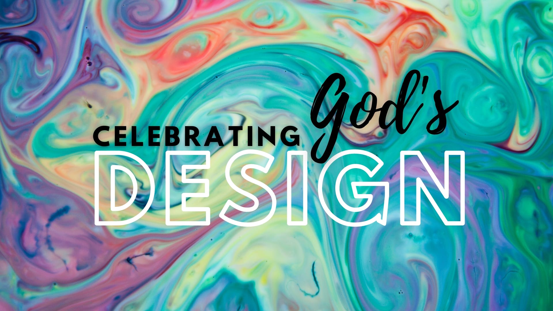 celebrating-god-s-design-archives-mount-vernon-baptist-church